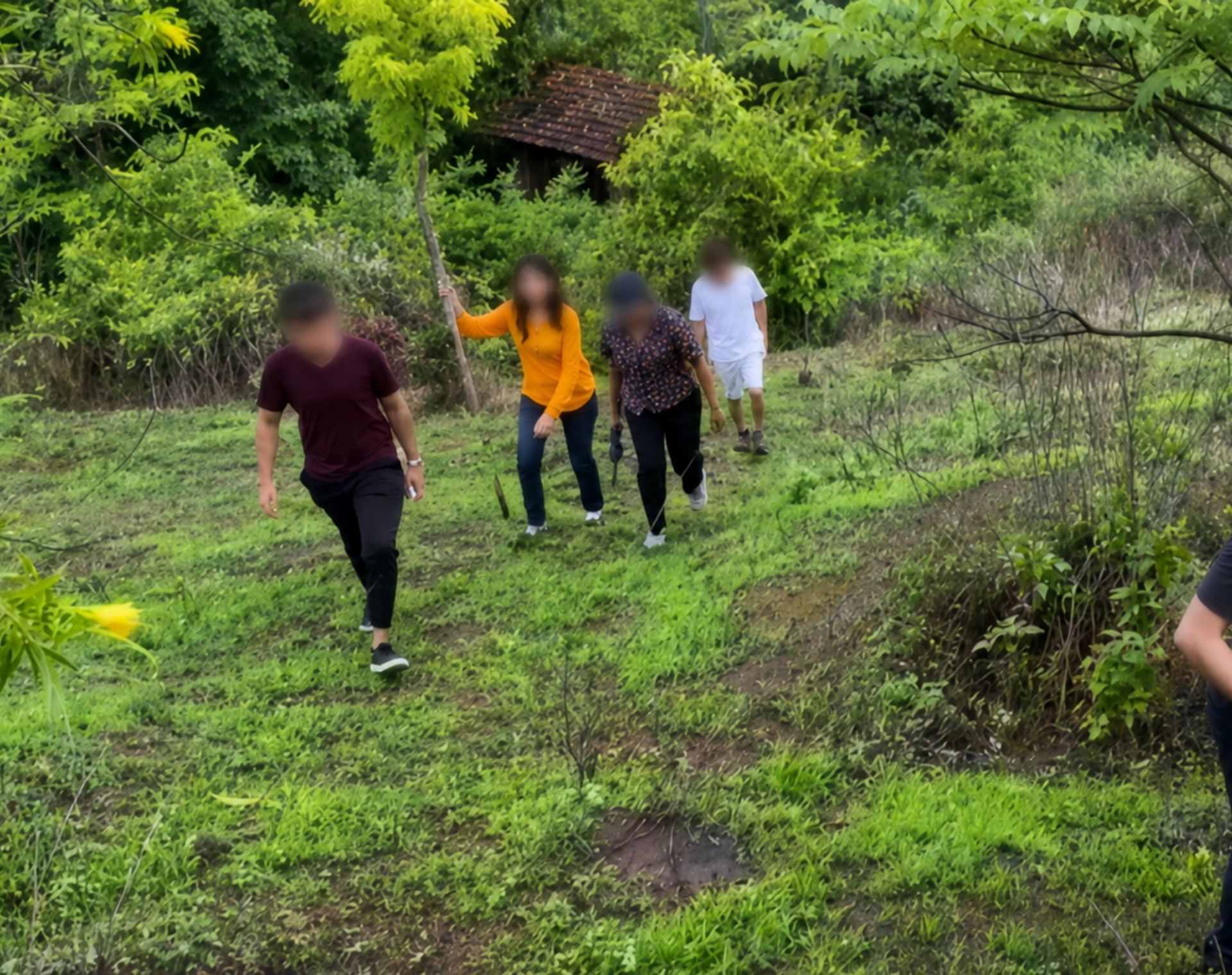 Nature Trails